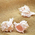 9GreenBox - Real 3 x Pink Murex Shell 3&quot; to 3.5&quot; Great For Holiday Ornament Decorating - 9GreenBox