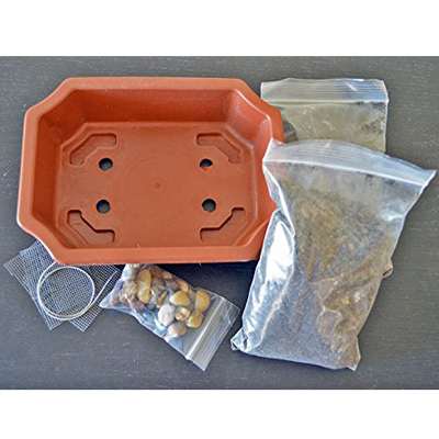Bonsai Potting Kit, 6.25&quot; with Pot - 9GreenBox