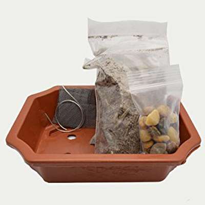 Bonsai Potting Kit, 6.25&quot; with Pot - 9GreenBox
