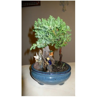 9GreenBox - Juniper Bonsai Tree with Fisherman Figure - 9GreenBox