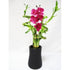 9GreenBox - Lucky Bamboo Spiral Style with Silk Flowers and Ceramic Vase - 9GreenBox