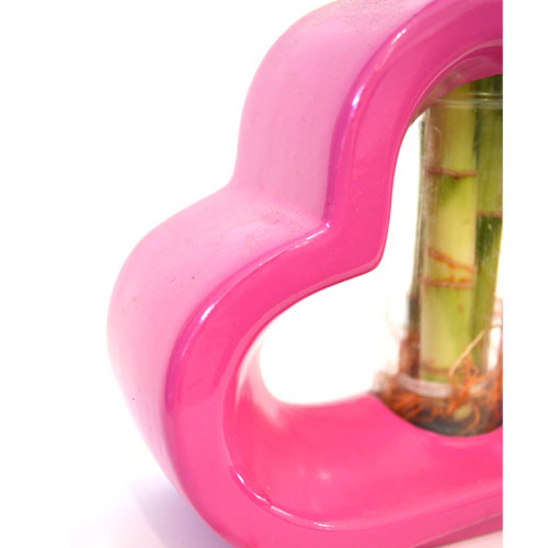 9GreenBox - Lucky Bamboo Spiral Style with Hollow Heart Shaped Pink Vase - 9GreenBox