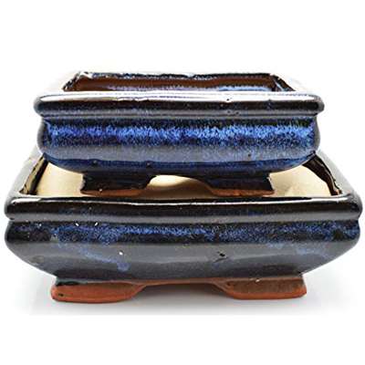 9GreenBox - 2 Ceramic Bonsai Pots 6/8 - 9GreenBox
