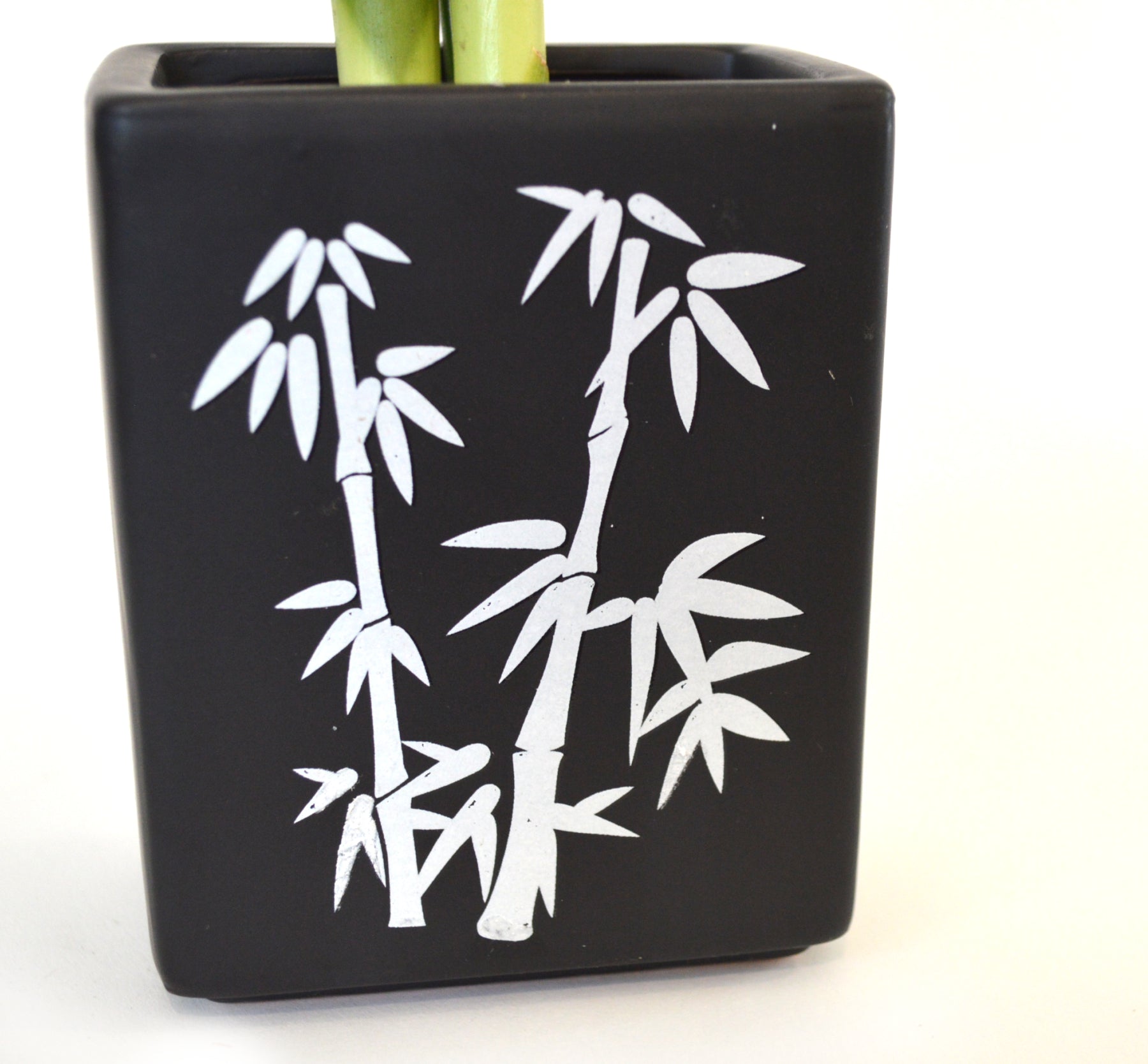 9GreenBox - Lucky Bamboo Spiral Style with Silk Flowers and Large Black Ceramic Vase - 9GreenBox