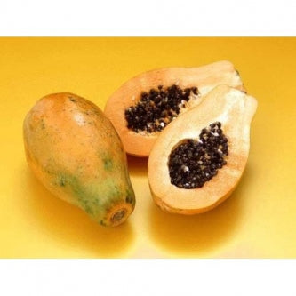 Hawaiian Papaya - 6&quot; Pot - 9GreenBox