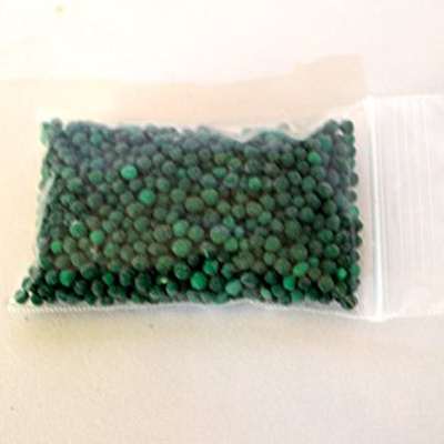 Sweet Bay Herb Bonsai with Fertilizer - 9GreenBox