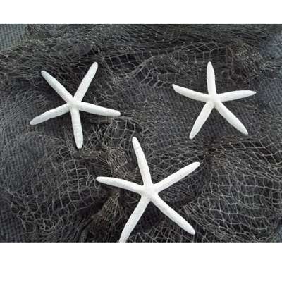 9GreenBox - Real 3 x White Starfish 4&amp;quot; to 6&amp;quot; Great For Holiday Ornament Decorating - 9GreenBox