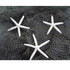 9GreenBox - Real 3 x White Starfish 4&quot; to 6&quot; Great For Holiday Ornament Decorating - 9GreenBox