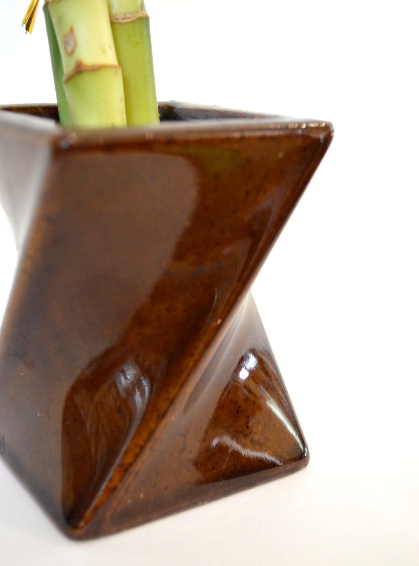 9GreenBox - Lucky Bamboo Spiral Style with Twisted Brown Ceramic Vase - 9GreenBox