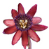 Ruby Glow Passion Flower Plant - Passiflora - 4" Pot - Easter Plant - 9GreenBox