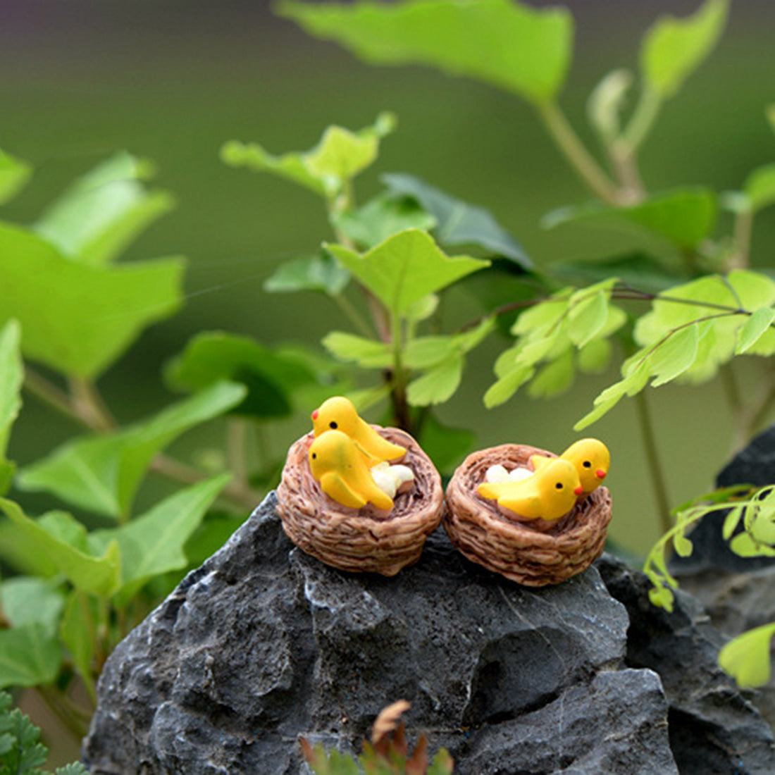 New Mini nest with birds fairy garden miniature - 9GreenBox